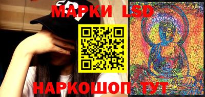 a pvp Ставрополь
