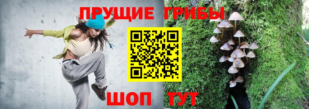 Псилоцибиновые грибы Psilocybine cubensis  Вход с VPN  наркота  Галлюциногенные грибы мухоморы  Ногинск 